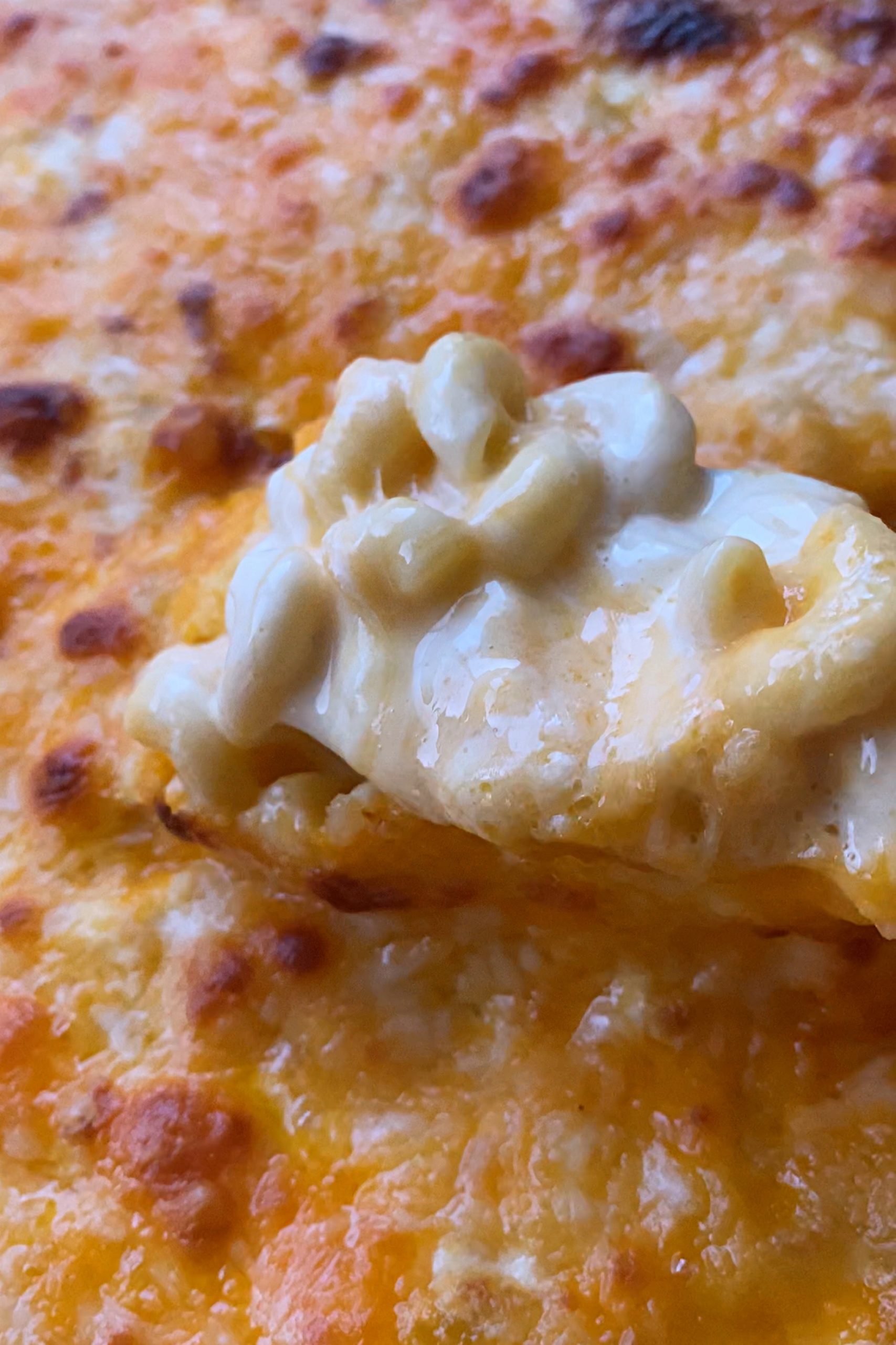 THE Creamy Mac and Cheese Recipe